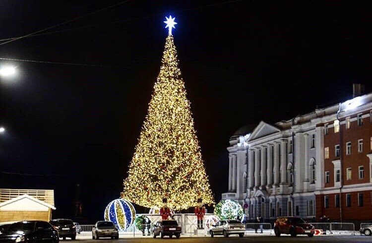 Нижегородская елка признана одной из высочайших в России