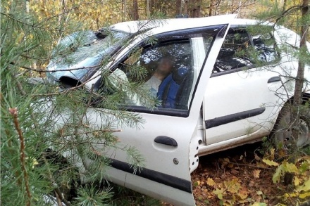 Пьяный водитель на иномарке опрокинулся в кювет в Выксунском районе (ФОТО)