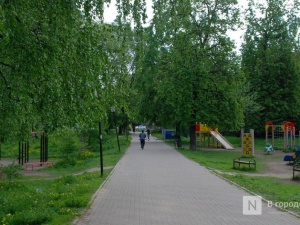 Стало известно, когда будет готов проект благоустройства парка Кулибина