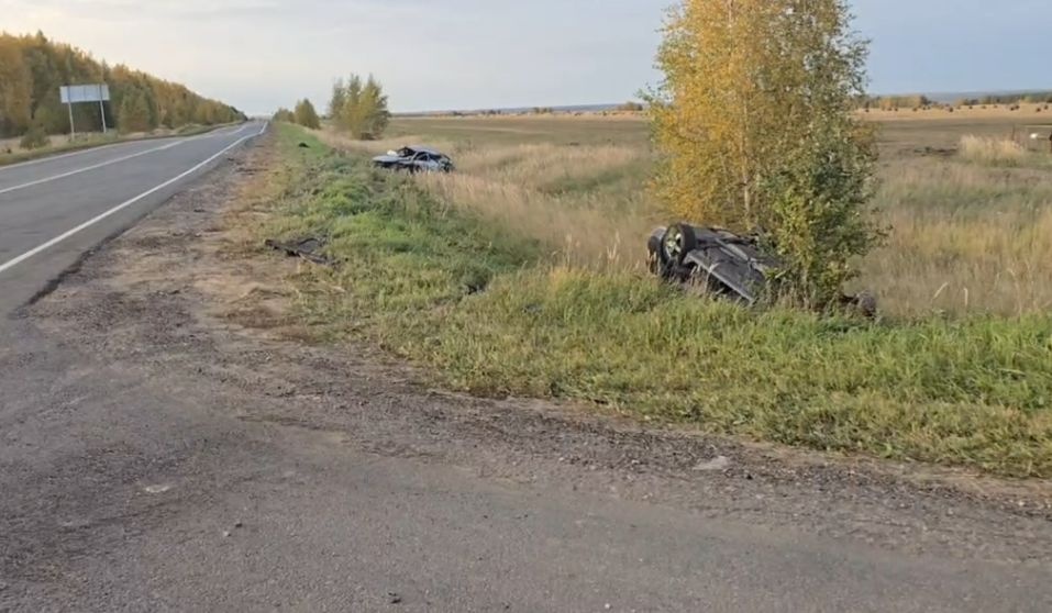 Пятеро взрослых и ребенок пострадали в жутком ДТП в Нижегородской области - фото 1
