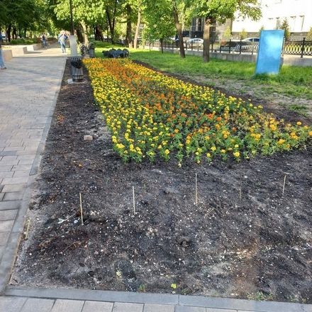 КПРФ просит мэра Нижнего Новгорода отчитаться о затратах на озеленение Звездинского сквера - фото 1
