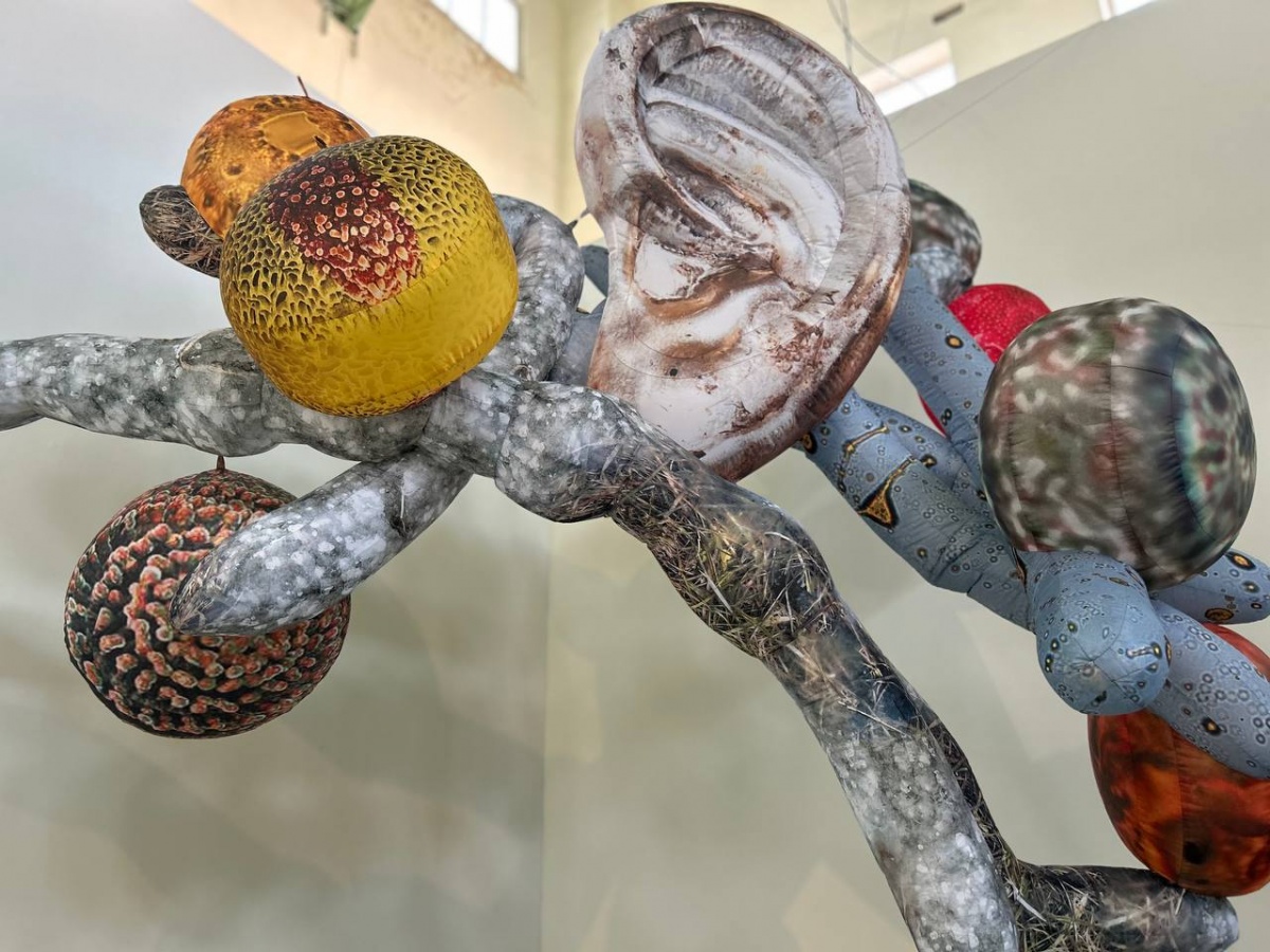 «Кожа Земли»: в Нижнем Новгороде проходит первая международная ЭкоБиеннале - фото 1