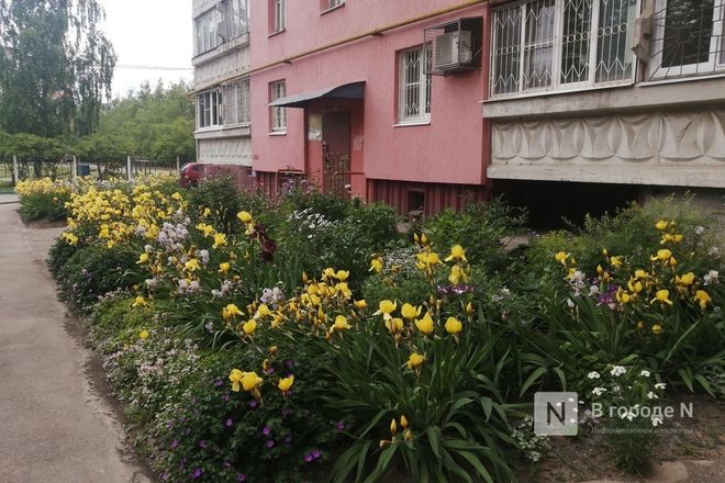 Пять самых красивых дворов Автозавода показали нижегородцам - фото 23