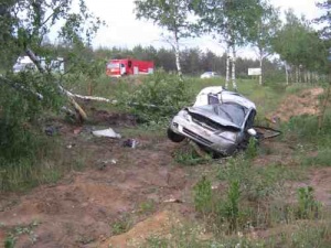 Женщина на иномарке опрокинулась в кювет в Краснобаковском районе