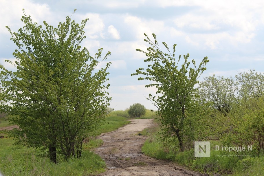 В Минграде объяснили необходимость строительства Восточного обхода Нижнего Новгорода - фото 1