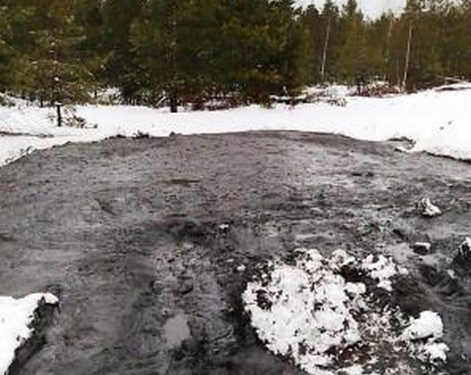 Виновных в загрязнении природы нефтепродуктами в Дзержинске оштрафовали на крупные суммы - фото 1