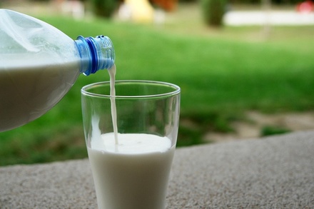 6 популярных мифов о молоке, в которые продолжают верить даже медики