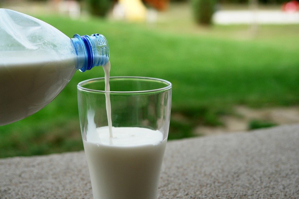 6 популярных мифов о молоке, в которые продолжают верить даже медики - фото 1