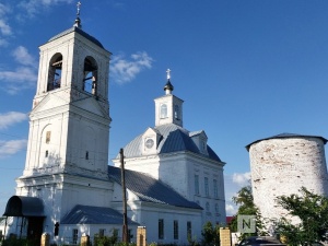 В Нижнем Новгороде, Дивеевском и Павловском районах больше всего заболевших