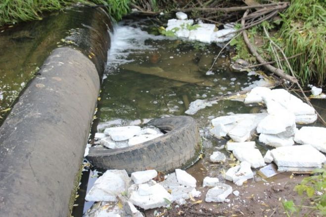 Опубликованы фото оврагов заброшенных участков СНТ в Нижнем Новгороде - фото 6