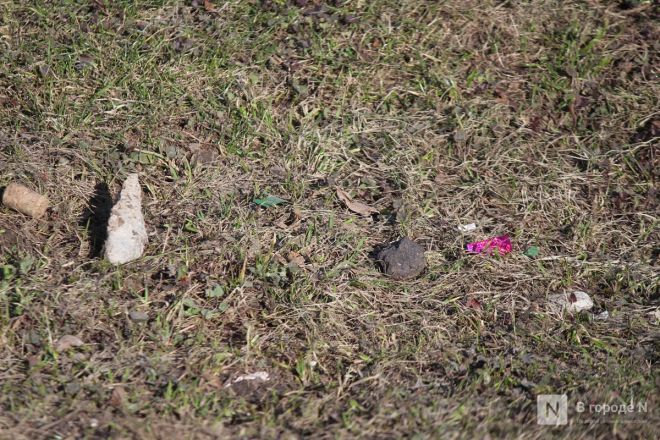 Трещит по швам: как выглядит центр Нижнего Новгорода после аномальной зимы — фоторепортаж - фото 92