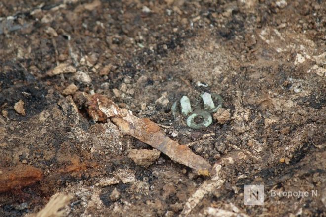 Проклятье мужчины с копьем: что обнаружили археологи под Вачей - фото 78