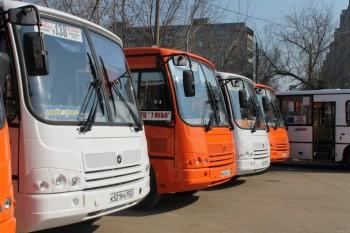 В Нижнем Новгороде появятся альтернативные автобусные маршруты взамен упраздненным