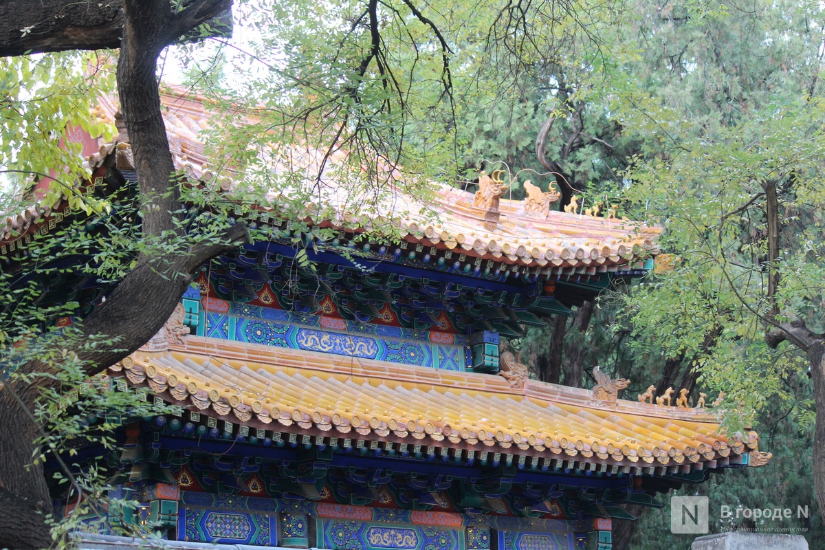 Великая стена и проблемы с интернетом: нижегородка рассказала о незабываемом путешествии в Китай - фото 24