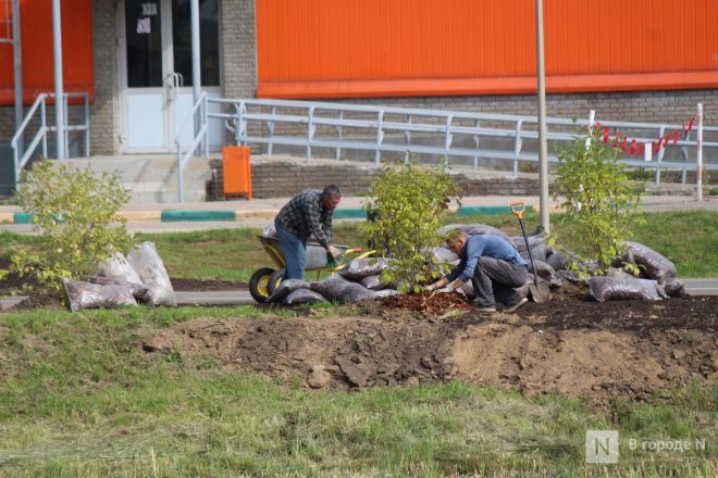 Благоустройство за 200 миллионов: смотрим, как меняется парк 777-летия Нижнего Новгорода - фото 160