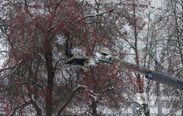 Новогоднюю елку установили на площади Горького в Нижнем Новгороде - фото 6