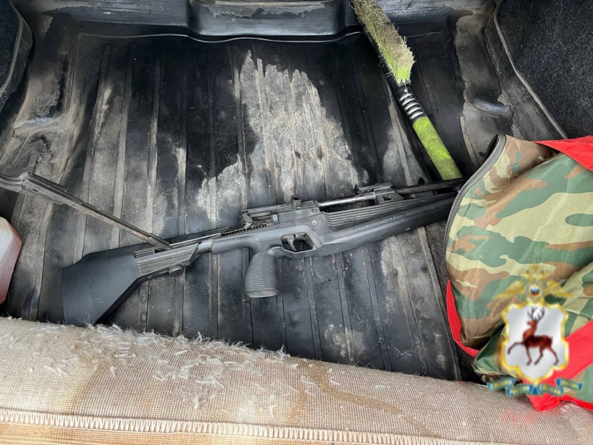Пьяного мужчину с пневматической винтовкой задержали в Нижнем Новгороде - фото 2