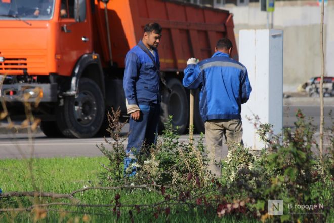 Благоустройство на 100 миллионов: каким станет сквер у метромоста в Нижнем Новгороде - фото 49