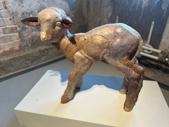 «Кожа Земли»: в Нижнем Новгороде проходит первая международная ЭкоБиеннале - фото 9