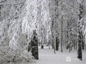 МЧС предупреждает нижегородцев о гололедице и мокром снеге