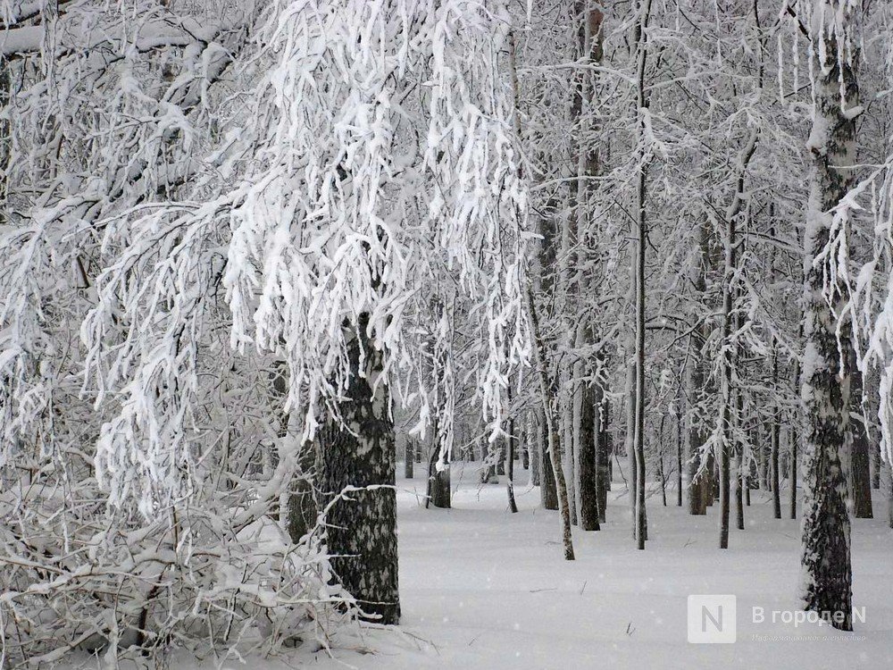 Снежная и пасмурная погода ждет нижегородцев в выходные
