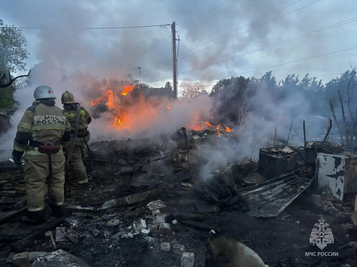 Два человека погибли на страшном пожаре в Нижегородской области - фото 1