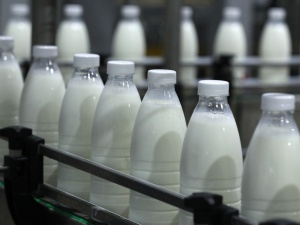 На 4% увеличилось производство молока в Нижегородской области