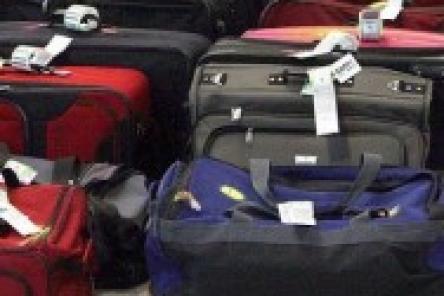 В Нижний  Новгород  прибыло 149 единиц багажа пассажиров из Египта
