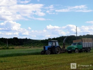 Начинающие нижегородские фермеры смогут получить гранты до 6 млн рублей