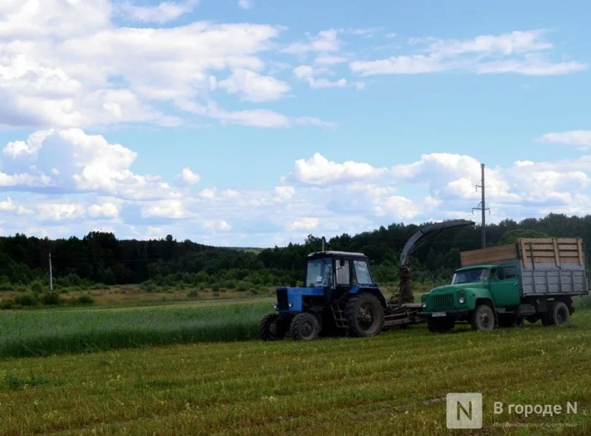 Начинающие нижегородские фермеры смогут получить гранты до 6 млн рублей