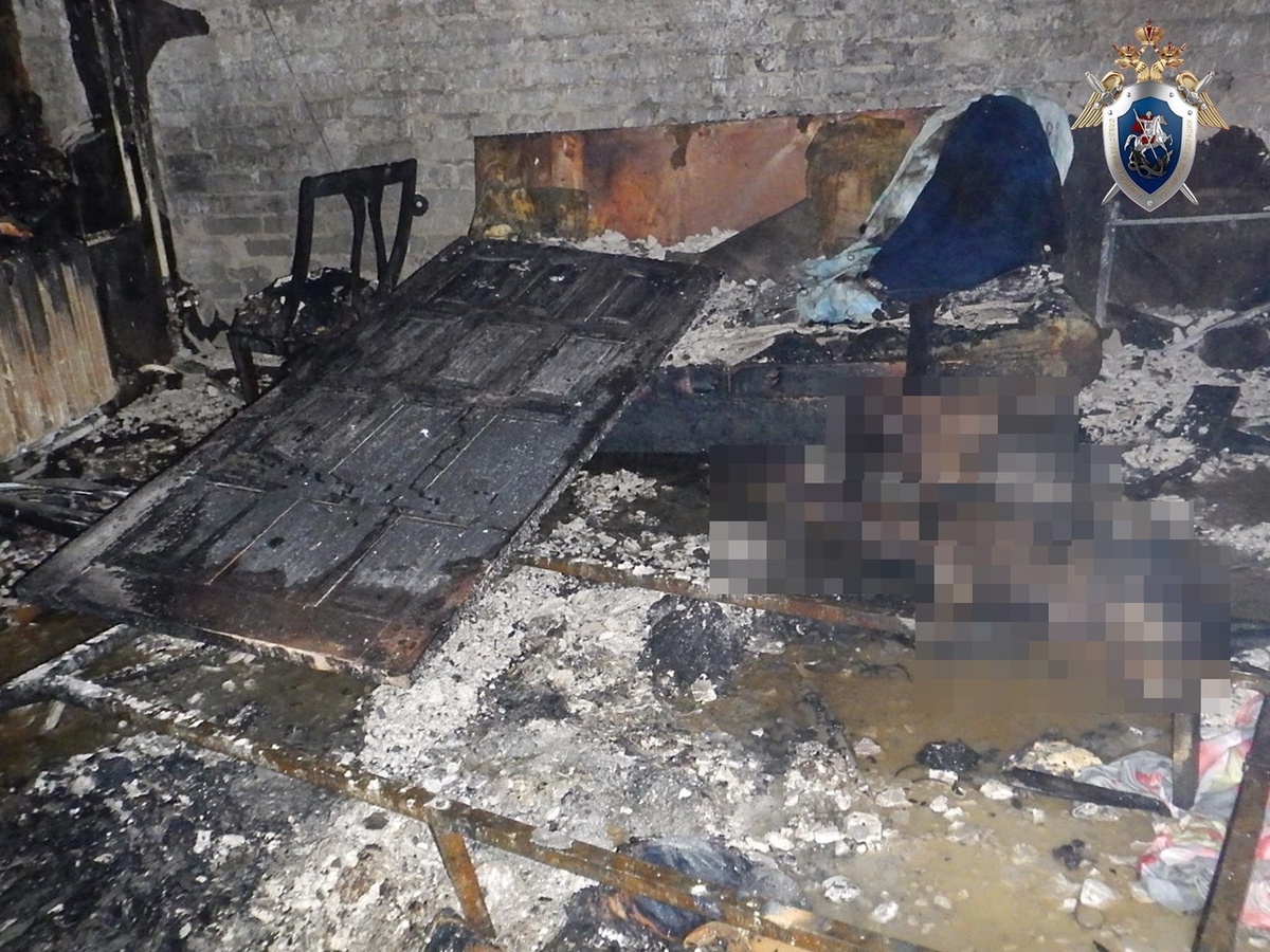 СК организовал проверку по факту гибели женщины на пожаре в Сормове - фото 1