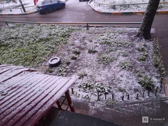 Фото: снежная буря обрушилась на Нижний Новгород 7 мая - фото 18