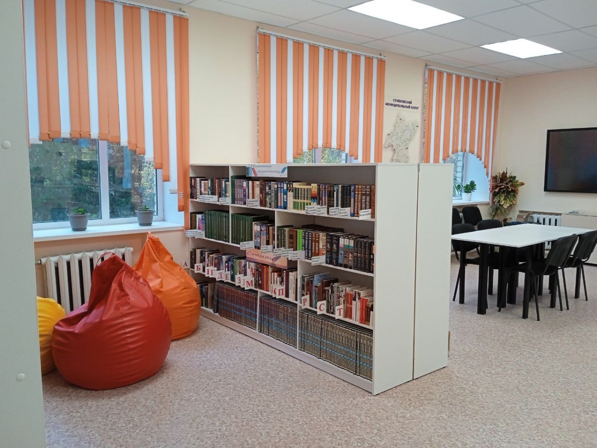36-я модельная библиотека открылась в Нижегородской области - фото 1