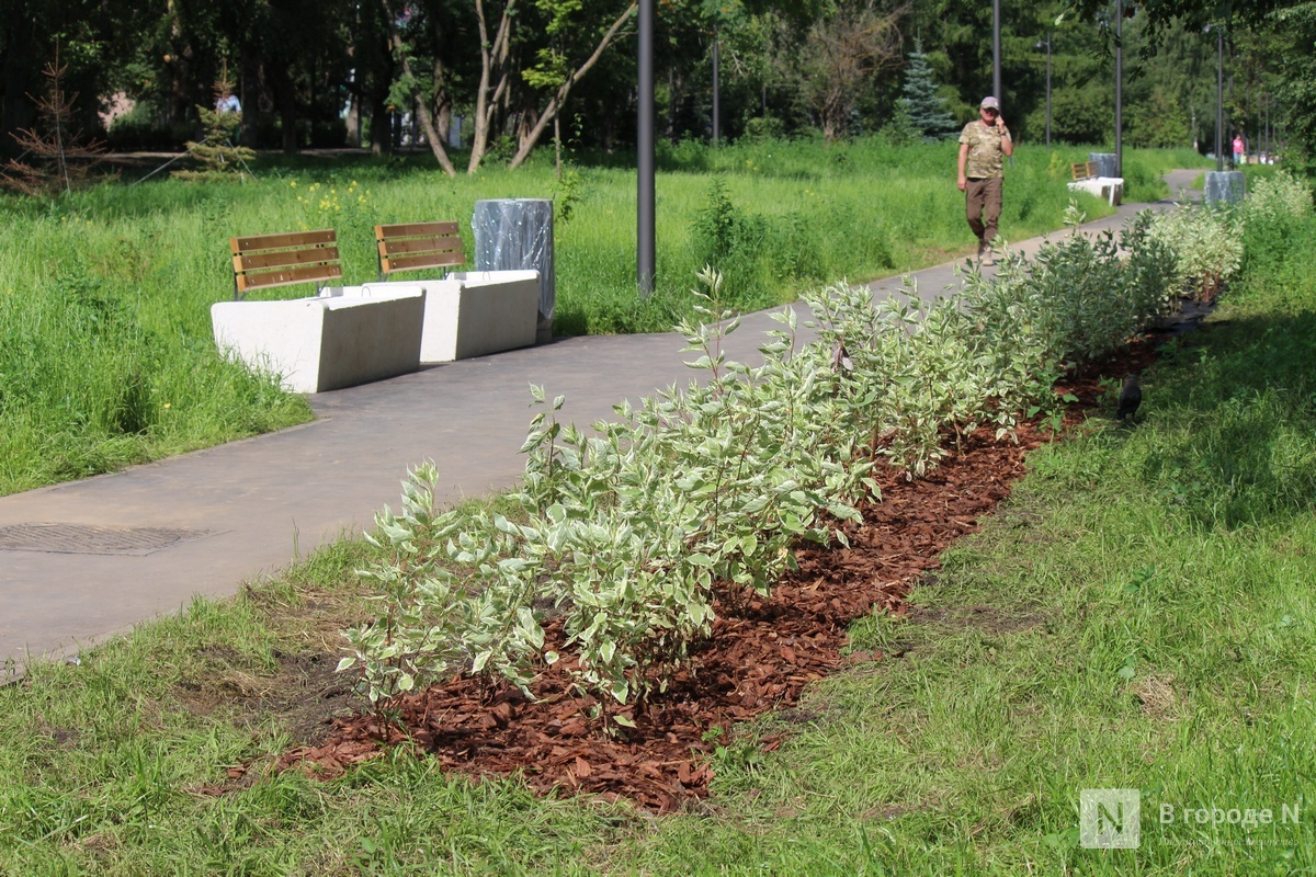 Мэрия объяснила срыв сроков благоустройства бульвара на проспекта Гагарина - фото 3