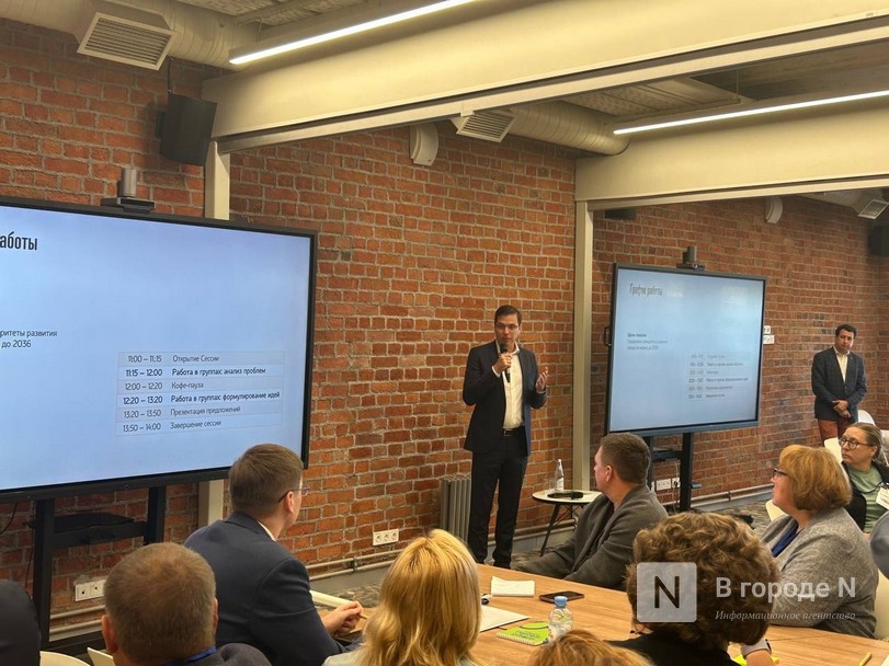 Началась разработка стратегии развития Нижнего Новгорода до 2036 года - фото 4