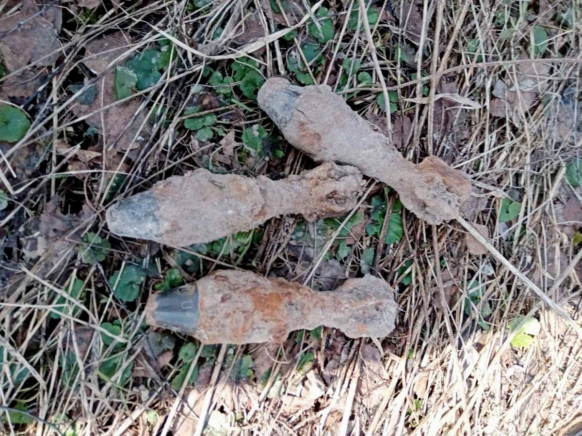 Военные снаряды обнаружили в водоеме Арзамасского района - фото 1