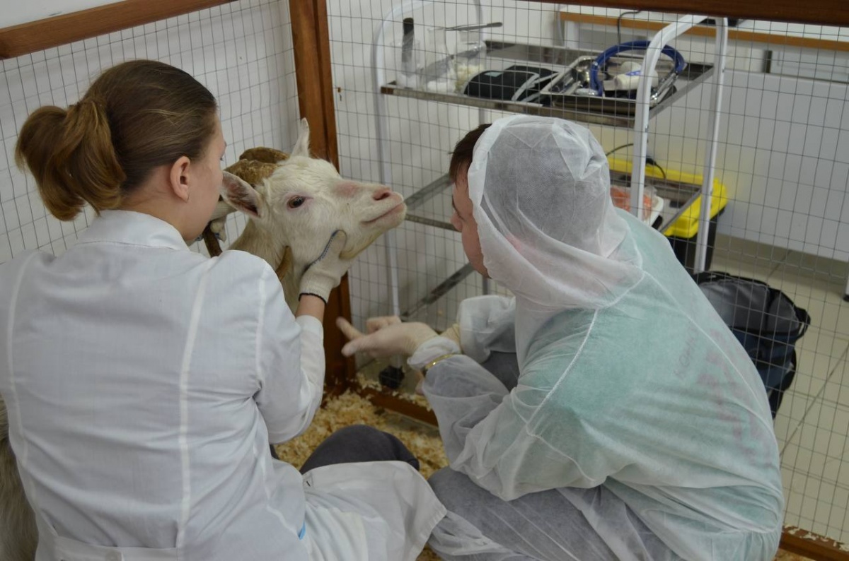 30 работников нижегородского АПК получили по 2 млн рублей на жилье - фото 1