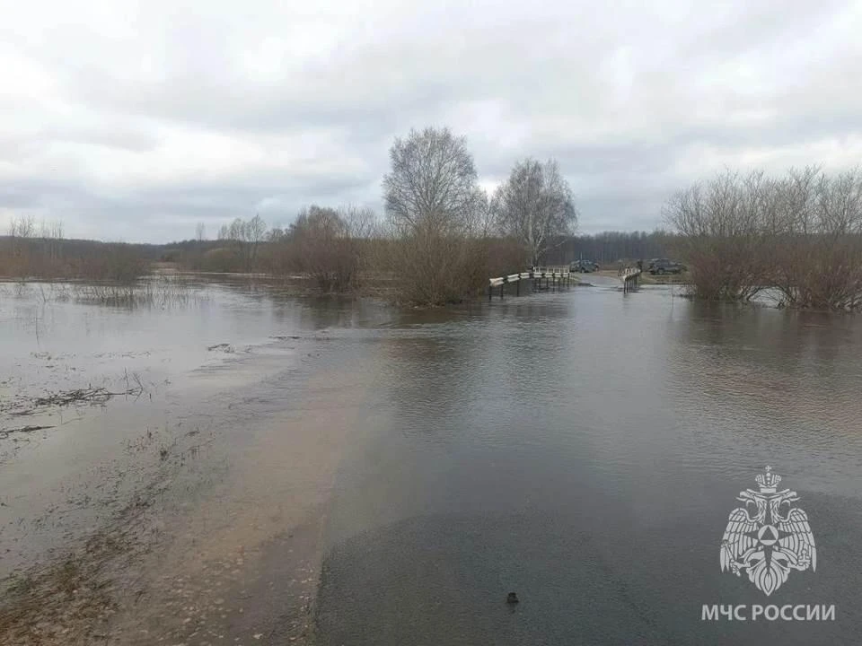 Паводок продолжается: что затопило в Нижегородской области 17 апреля - фото 1