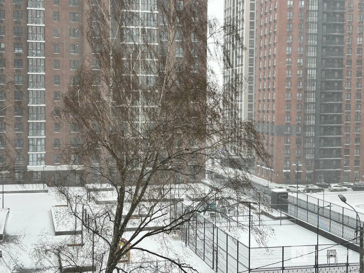 Более 15 см снега выпало в Нижнем Новгороде за неполные сутки - фото 1