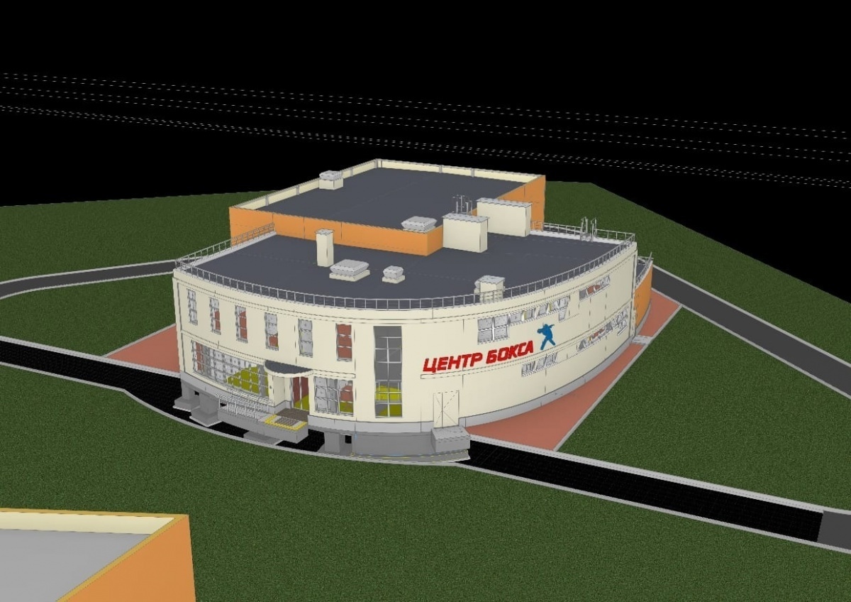 Открытие Центра бокса в Городце перенесли на 28 июня - фото 1