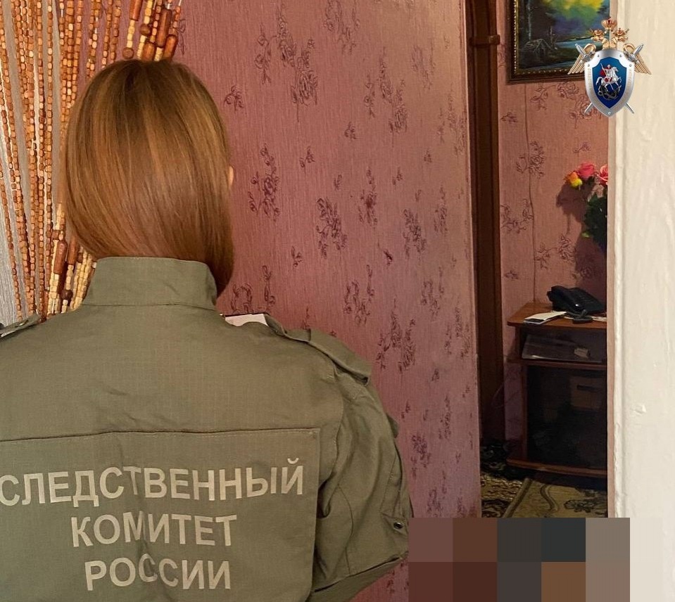 Нижегородец подозревается в жестоком убийстве престарелой матери - фото 1