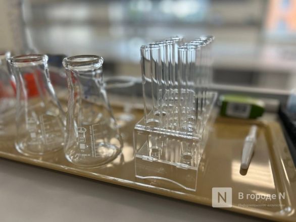 Открытие самой большой школы и массовые обмороки: как прошло 1 сентября в Нижнем Новгороде - фото 14