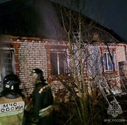 Мощный ночной пожар вспыхнул в частном доме в Нижнем Новгороде - фото 2