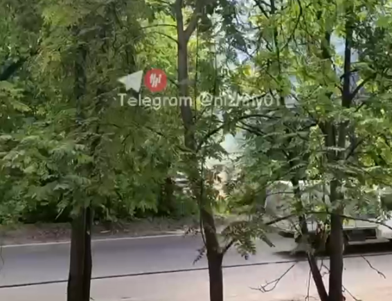 Высоковольтный провод оборвало на улице Козицкого - фото 1