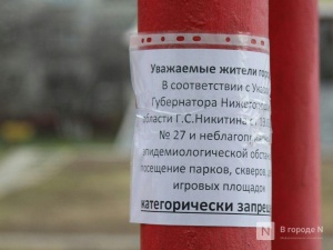 Хроники коронавируса: 17 апреля, Нижний Новгород и мир