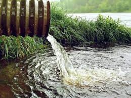 Санаторий «Горбатов» оштрафован за сброс загрязненных сточных вод в Оку
