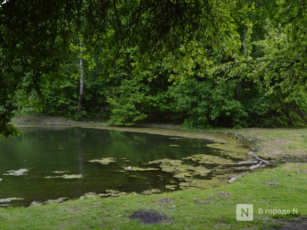 Нижегородцев предлагают привлечь к охране рек и озер