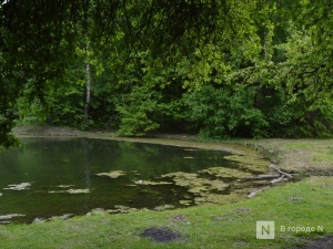 Нижегородцев предлагают привлечь к охране рек и озер