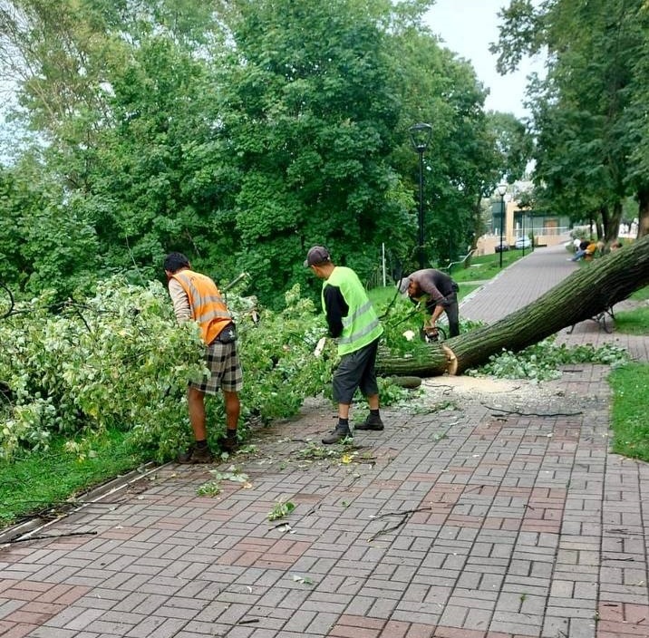 Почти 100 деревьев повалил ураганный ветер в Нижнем Новгороде - фото 1