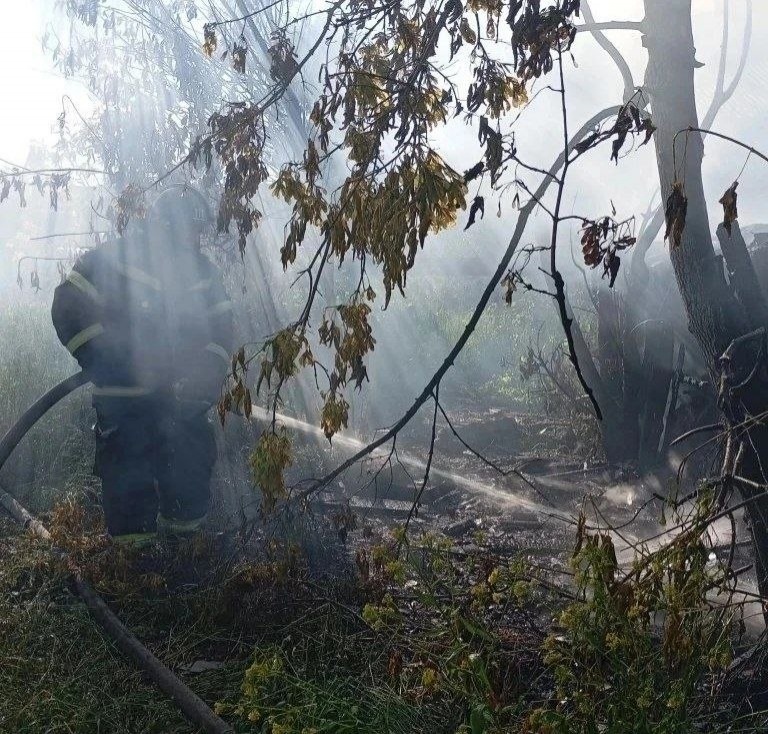 Блок сараев площадью 60 «квадратов» сгорел в Лукояновском округе — фото - фото 2